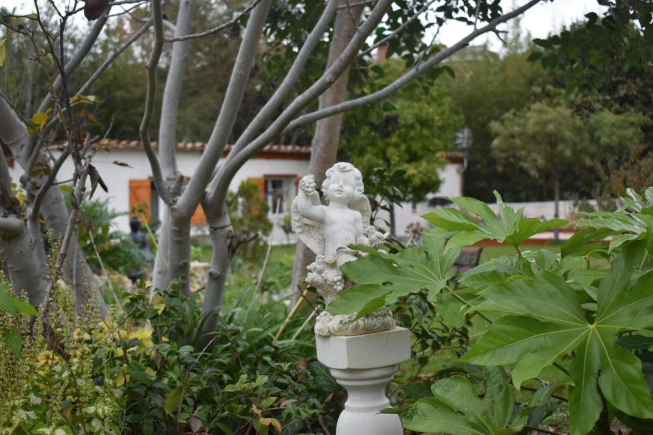 L'Oranger - Magnifique Studio Independant Sur Mougins Avec Jacuzzi Prive - Parking - Climatisation Exterior photo